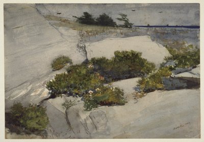 Maine Cliffs by Winslow Homer